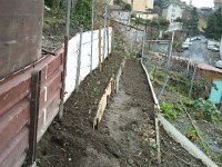 2014-01-18 12.37.17  18 Jan - more garden work with a new beds filled with irises